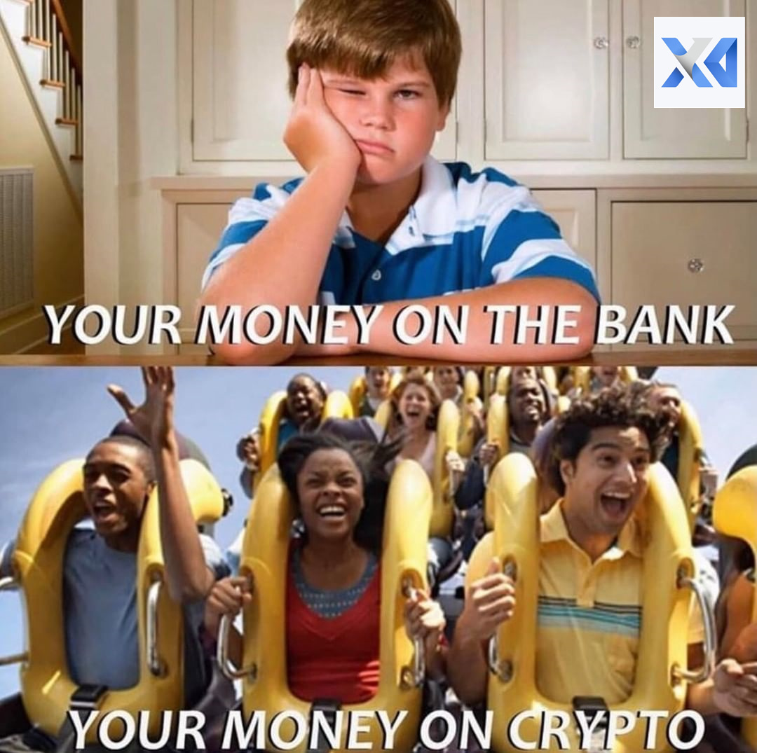 XKD Global tweet media