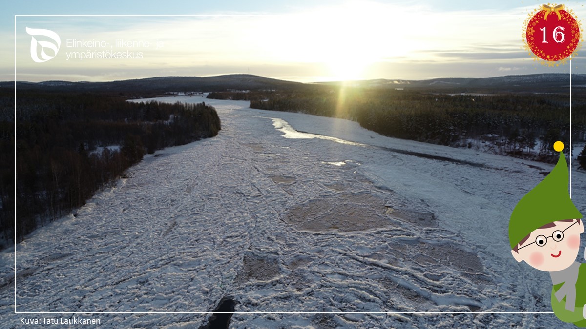 Vedet pakkassäässä virtaavat, höyryä pinnalla kulkee. Pukki suposta kuuli, mielessä kävi muori, kun aivan muuta luuli. Ympäristö-tonttu valisti, ”ei suppo lääkitse vaan jokia sulkee”. #ELYkeskus #joulukalenteri
