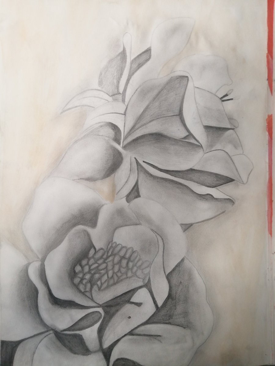 Llanwern_art's tweet photo. Beautiful pencil work by @Llanwern_High year 12 pupil Zahoor Mahmood https://t.co/uh6eh6B04H
