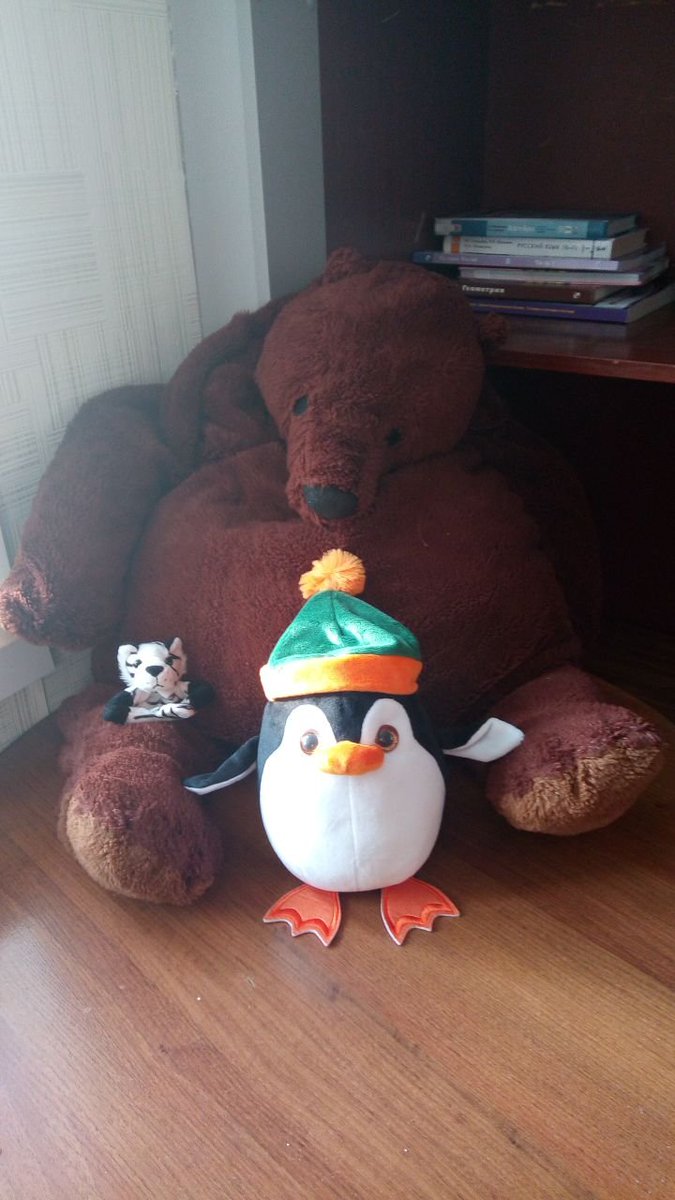 IzyTen's tweet photo. so i want to share with you my plush family, the bear's name is George, the tiger is Boris, and the penguin is Tim and he's new qwq https://t.co/4fFV3fxRGQ