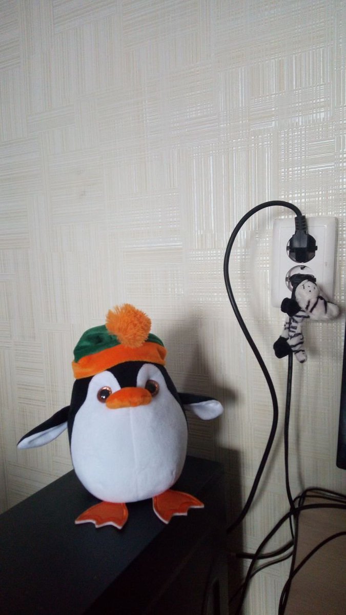 IzyTen's tweet photo. so i want to share with you my plush family, the bear's name is George, the tiger is Boris, and the penguin is Tim and he's new qwq https://t.co/4fFV3fxRGQ