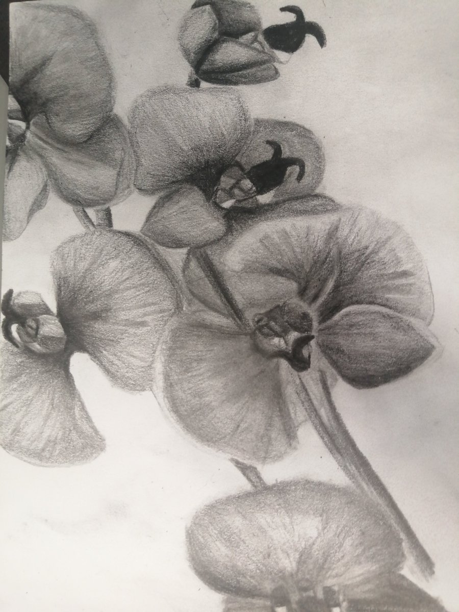Llanwern_art's tweet photo. Beautiful pencil work by @Llanwern_High year 12 pupil Zahoor Mahmood https://t.co/uh6eh6B04H