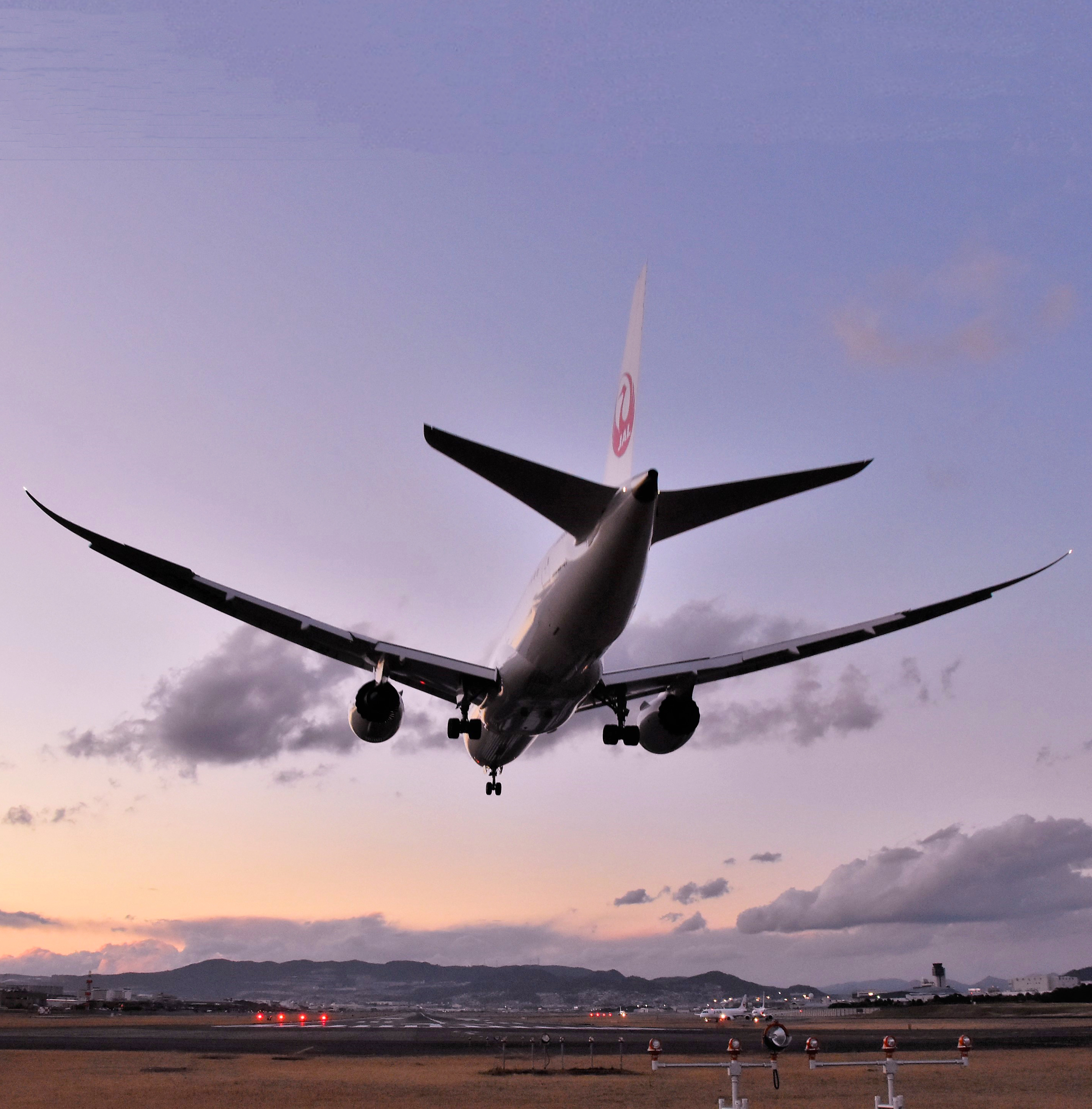 Japan Airlines Jal Jal Official Jp Twitter