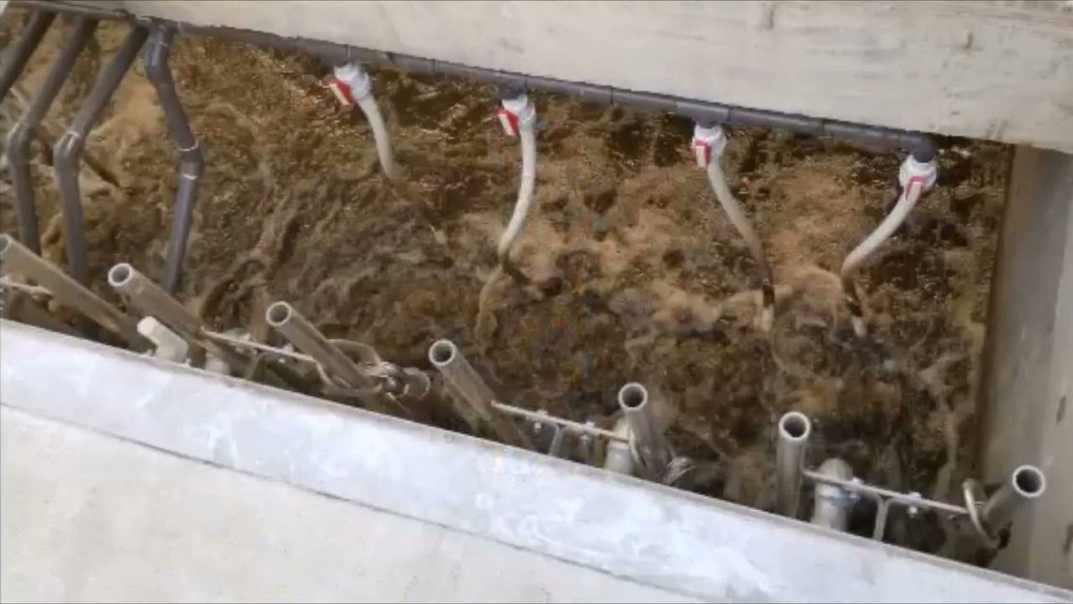 acquaeco_fr's tweet photo. ÉTUDE DE CAS : Mise à niveau d'un assainissement semi-collectif pour un aéroport grâce au BioBarrier HSMBR. Ou comment transformer une ancienne lagune en un système de traitement ultra performant et durable. #BioMicrobics #HSMBR #BioBarrier #ANC #MBR
  https://t.co/SAkUHRaGU2 https://t.co/ingbCaVtrE