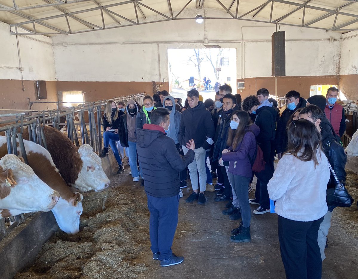 AIColtivatori's tweet photo. #Studenti in #fattoria, AIC: 
♻️ #Km0 e #Sostenibilità parole chiave per le nuove generazioni

📌 L’esperienza degli studenti dell’Alberghiero Tor Carbone nella Fattoria Colle San Nicola di #Artena
👁‍🗨Leggi 🔗 https://t.co/GL88QBMzWp

#mercatocontadino
#agricolturaitaliana
#lazio https://t.co/7datxOgFBu