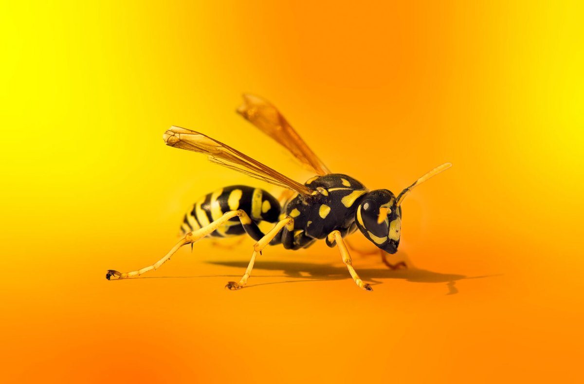 e_kaspersky's tweet image. Not only is the jaw-dropping flaw in the Apache Log4j logging library ubiquitous; Apache’s blanket of a quickly baked patch for #Log4Shell (#LogJam) also has holes 👉 kas.pr/9f28 

via @threatpost