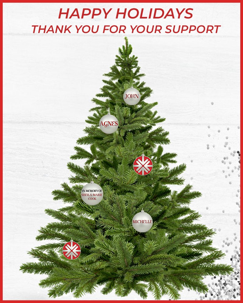 From the Duke of Edinburgh's Commonwealth Leaders Dialogue, we thank you for giving the gift of a unique leadership opportunity. By supporting DECLD you are promoting a community of growth in leadership, networking, and enterprise.
Find out more at commonwealthleaders.org/support-cld