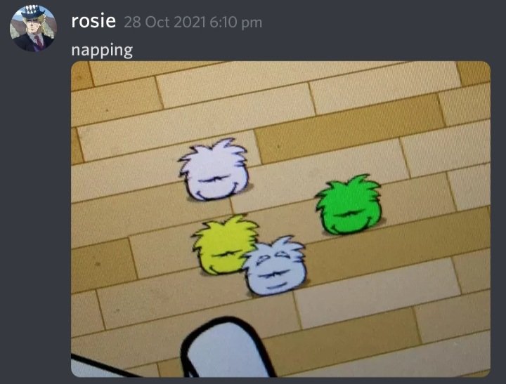 RewrittenMemes's tweet image. Um....ma'am i do not think so 🧐😳 #puffles #clubpenguin