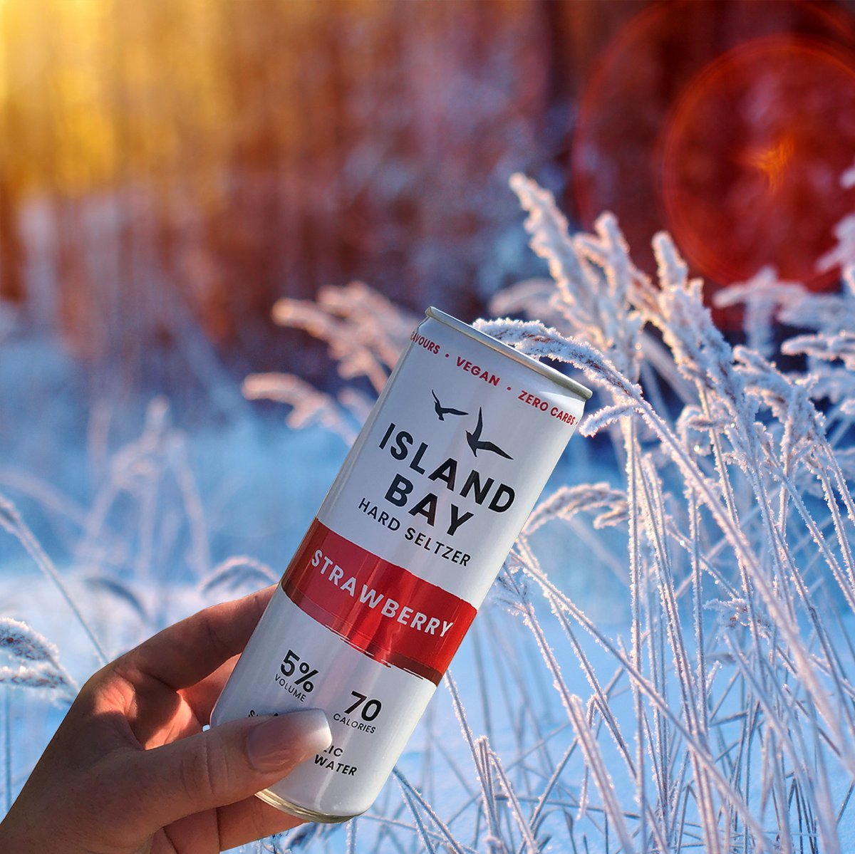 I’m dreaming of an Island Bay Christmas…❄️🍓

#IslandBay #HardSeltzer #whiteChristmas