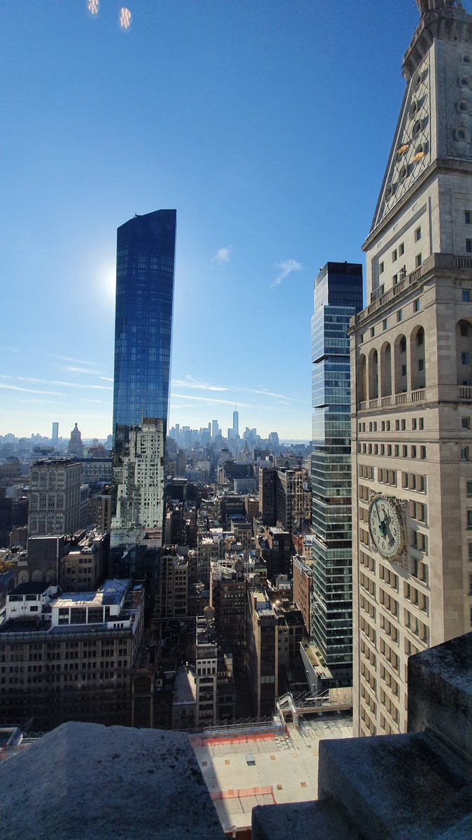 Toazted's tweet image. Hello my neighbors!!!