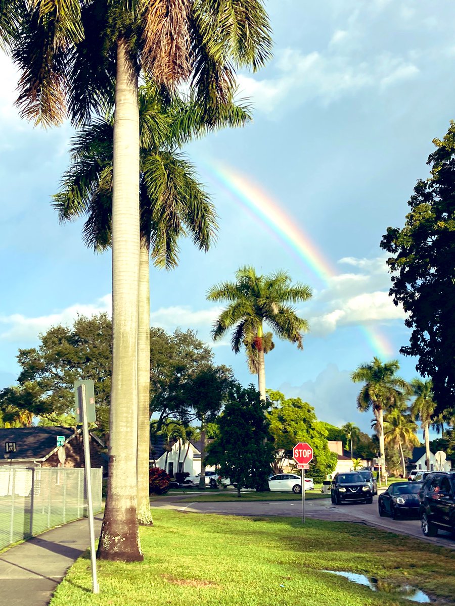 savecalusa's tweet image. Nature is beautiful.

#calusa #westkendall #nature