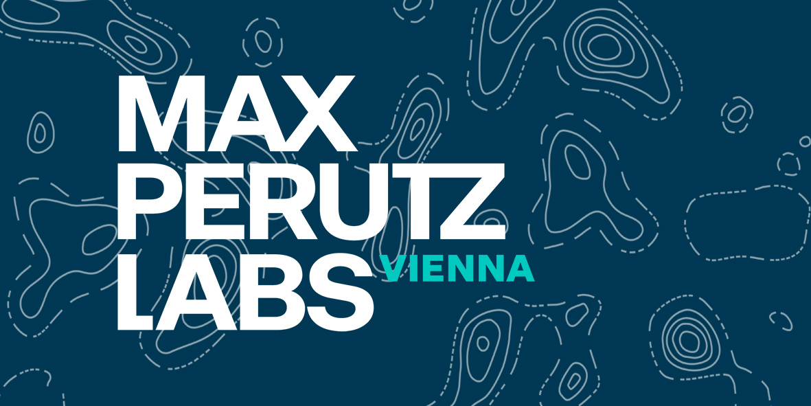 MaxPerutzLabs's tweet photo. Deadline approaching: tenure track professorships @univienna based at the Perutz! We are seeking scientists to establish research groups in 
➡️ Structural Biology https://t.co/XL7V173hhL and 
➡️ Mechanistic Cell Biology https://t.co/KEdbQkgQSE 
Application deadline: 10 Jan 2022 https://t.co/vueaBnq62V