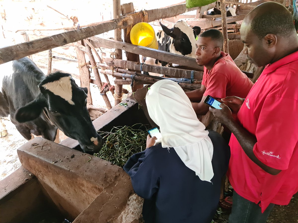 #DYK @FAO's Event Mobile Application (EMA-i) enhances real-time reporting of #animaldiseases from the field?

After FAO's EMA-i training in #Zanzibar, national and regional animal health officers are now equipped to roll out prompt interventions for early warning, early action!