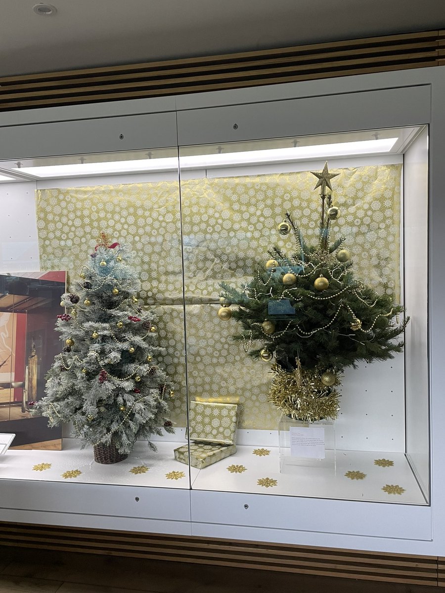 ArmourSystems's tweet photo. How many people can say their Christmas trees are in a ultra secure, humidity controlled case? 🙋🏼‍♀️ #ChristmasTree #museums https://t.co/t8NseOsQ5c