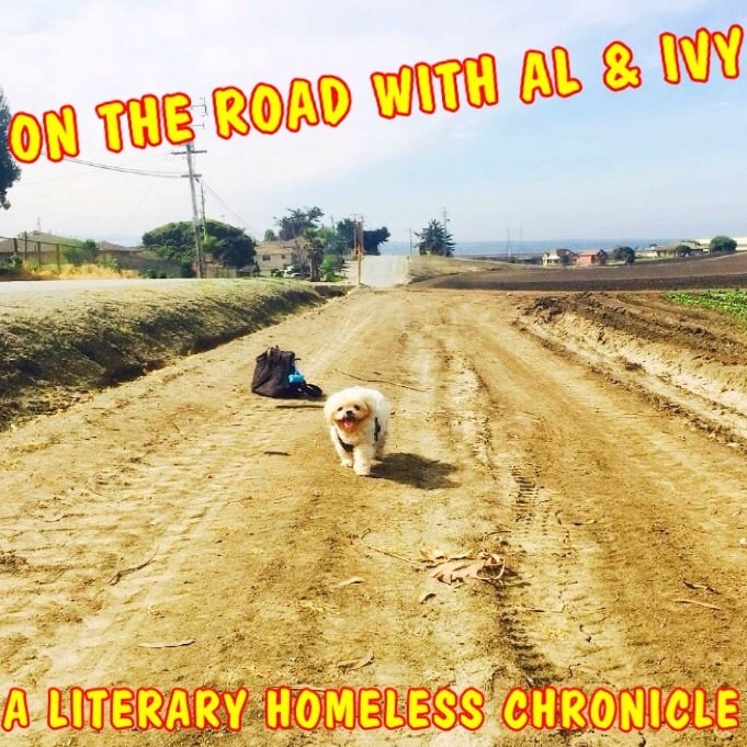 On The Road With Al and Ivy: A Homeless Literary Chronicle Cover reveal/preview of Electric Fog Factory serial novel coming Jan. 2022! Punk history,Sex Pistols,Tanizaki,Lost Gospel Of Mergatroyd,origin of music,Todd Rundgren,Soeseki's I Am A Cat and more! ontheroadwithalandivy.blogspot.com/2021/12/on-roa…