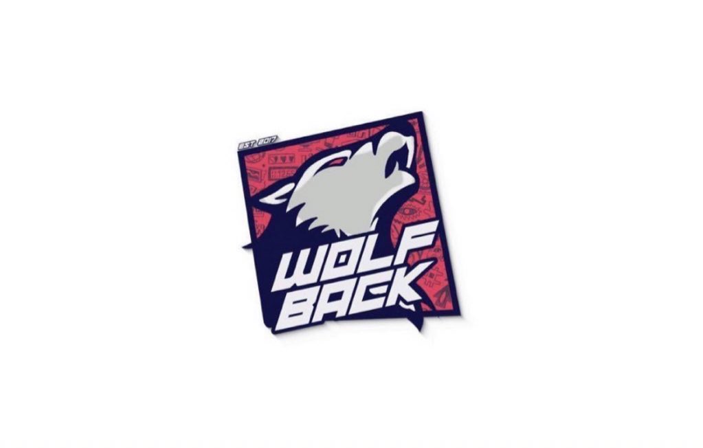 WOLFBACK tweet media