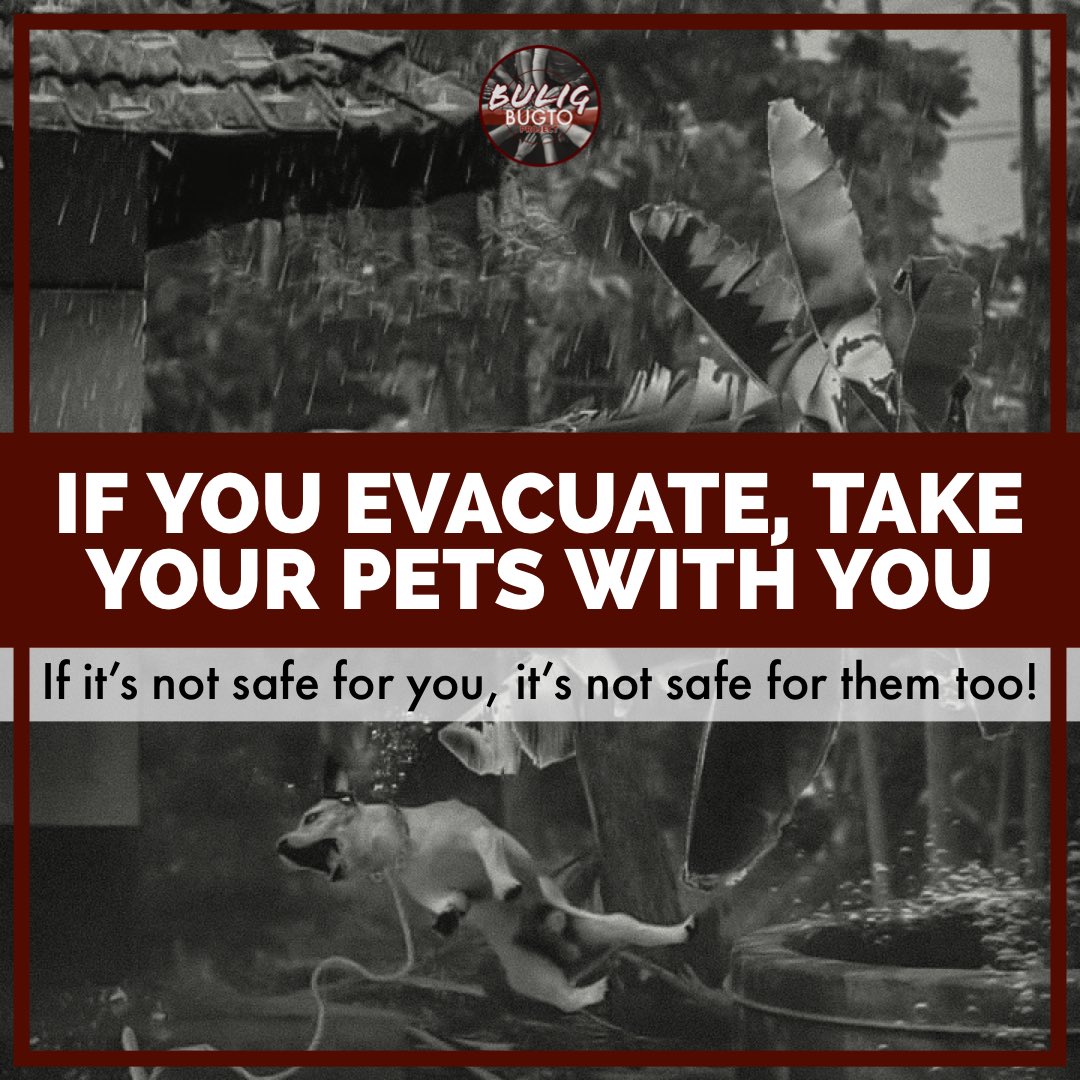 marcopaulogy's tweet photo. IF YOU EVACUATE, TAKE YOUR PETS WITH YOU 🙏

If it's not safe for you, it's not safe for them too!

If you can't take them, at least untie &amp; uncage them.

Also, please be kind enough to let a homeless dog or cat take shelter as well. They have nobody.

#OdettePH #TyphoonOdette https://t.co/wEBLvQc6Ya