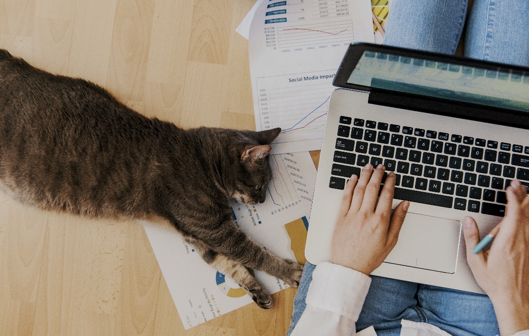 I talk a lot about the more nitty-gritty of accountability (involving the team in project planning, assigning a sole person to each task, etc.), but <a href="/davidpachter/">David Pachter</a> perspective here about the bigger picture of #Accountability is a valuable one. bit.ly/3jUYE9s