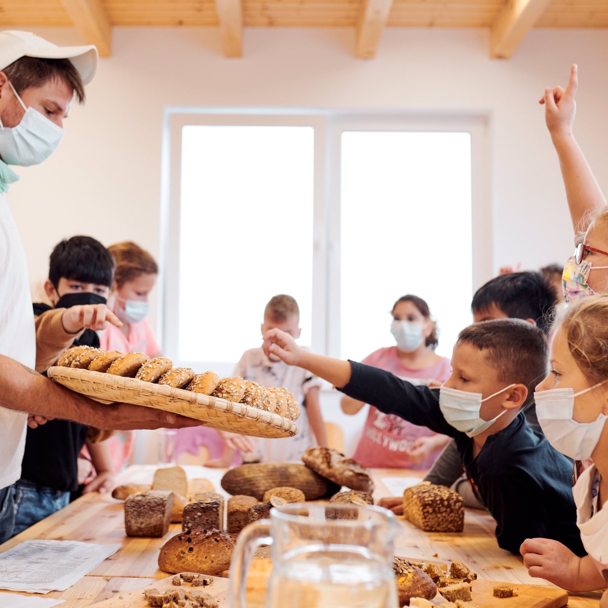Was bedeutet #Bioregionalität? Dies erforschen die Kinder bei unserem #Grundschulprojekt „Meinem Schulessen auf der Spur!“ mit allen Sinnen. Bei einem verarbeitenden Biobetrieb können sie z. B. die Herstellung von Brot erkunden &amp; erkneten. Mehr Infos: restlos-gluecklich.berlin/schulessen