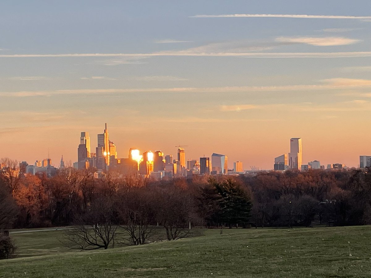 IngaSaffron's tweet photo. Say a final goodbye to the Belmont Plateau sugar maple, which is being removed any day now. After 90-plus years the tree that framed the Philly skyline has seen a lot of change. Blame the climate crisis for its early demise. https://t.co/XjtcgJDv1f