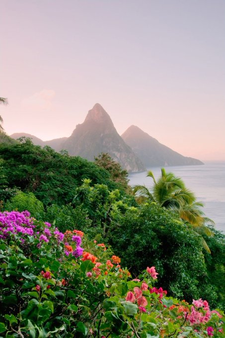 Travitinerary's tweet photo. St Lucia 💙💜 https://t.co/Rmwg0Hwb3N