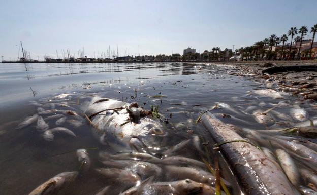 PablOrtVega's tweet photo. En los últimos años el turismo se ha visto afectado en las zonas colindantes al Mar Menor (los Alcáceres, La Manga...). El crecimiento urbanístico y como consecuente la contaminación acuática son los principales motivos que han originado una disminución del turismo en la zona. https://t.co/EzNnVV9yFG