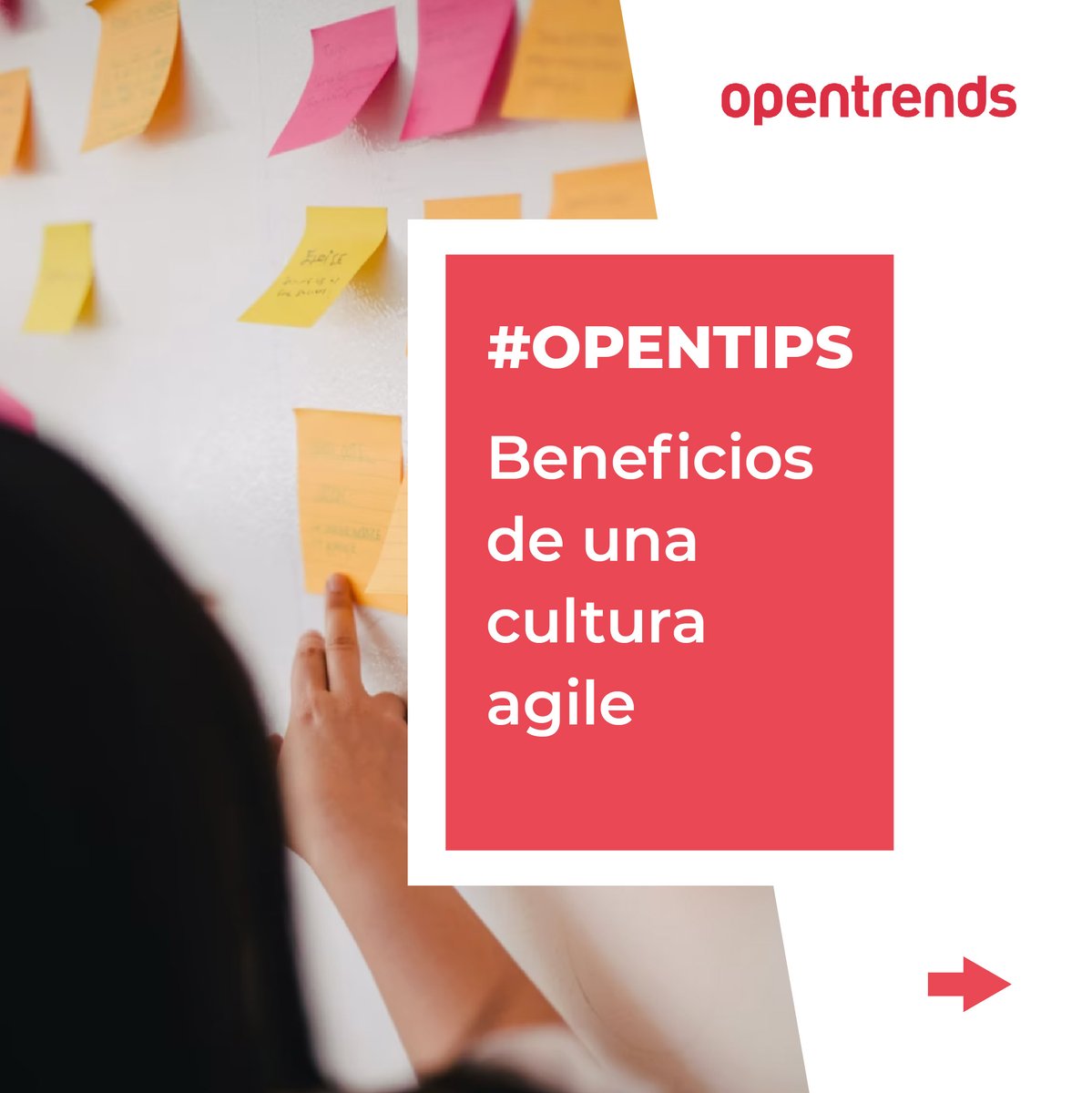 opentrends's tweet image. ¿Has intentado aplicar metodologías #agile y no has logrado los beneficios que esperabas?

Si quieres sacarle más partido a agile, recuerda que además de metodología necesitas #mindset.
En el vídeo de ayer encontrarás alguna pista😃

#InspirationalWeek #MindsetAgile #Agileculture