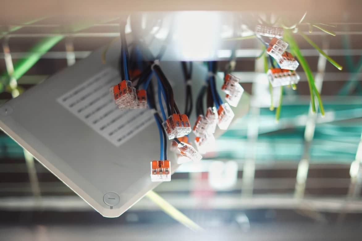 Orion 247 tweet media