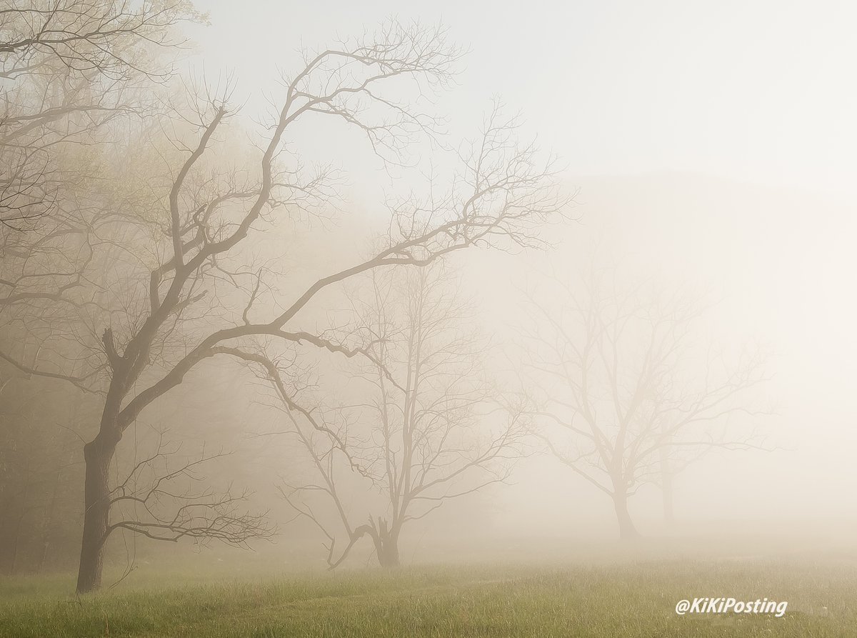 Kimberly tweet media