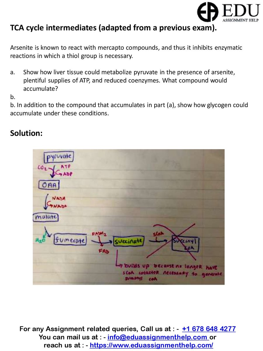 Edu_Assignment's tweet image. I am Anastasia L.I am a Biochemistry Assignment Expert at eduassignmenthelp.com. I have been helping students with their homework for the past 6 years.I solve assignments related to Biochemistry. To see the full assignment visit flic.kr/s/aHsmXkBFex
#BiochemistryHomeworkHelp