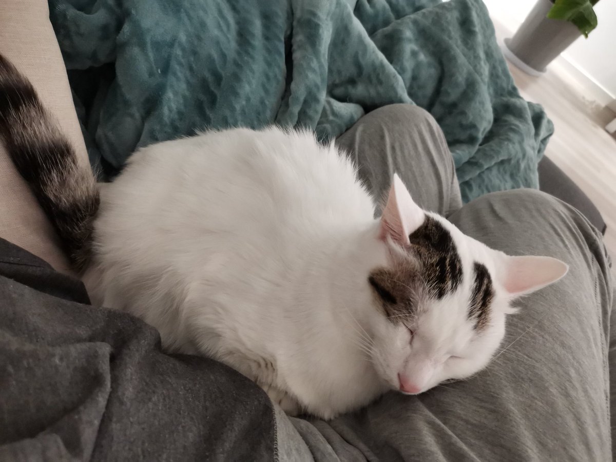 NadrojTrebbals's tweet photo. Already living the best life. Imagine when #XRP hits $10 😻
#XRPCommunity #XRPtheStandard #xrpforlife https://t.co/hqwiEuAxsD