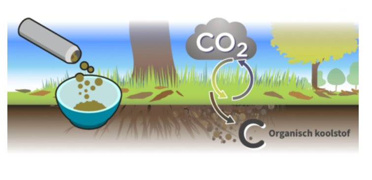 CurieuzeNeuzen tweet media