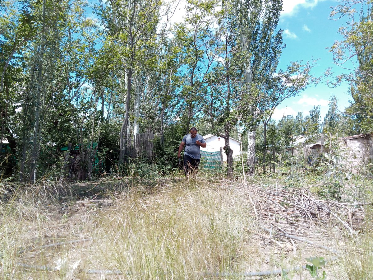 WillkakutiSR's tweet image. 🌺Comienzan a florecer las #tagetes en los canteros de aromáticas de #Willkakuti 🌺

✨Gracias @discapacidad_sanrafael por el espacio ✨

#programadeautonomiaalimentaria
#plandeemergenciaalimentaria
#tumunicipio