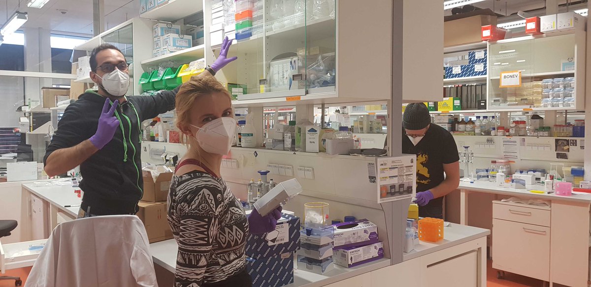 Bonev_Lab's tweet photo. Busy day for the Bonev Lab! Deep #labcleaning and virtual #SecretSanta
@Boyan84 needs different wrapping paper, it's becoming too easy to guess his present! https://t.co/KlJPwQlx5W