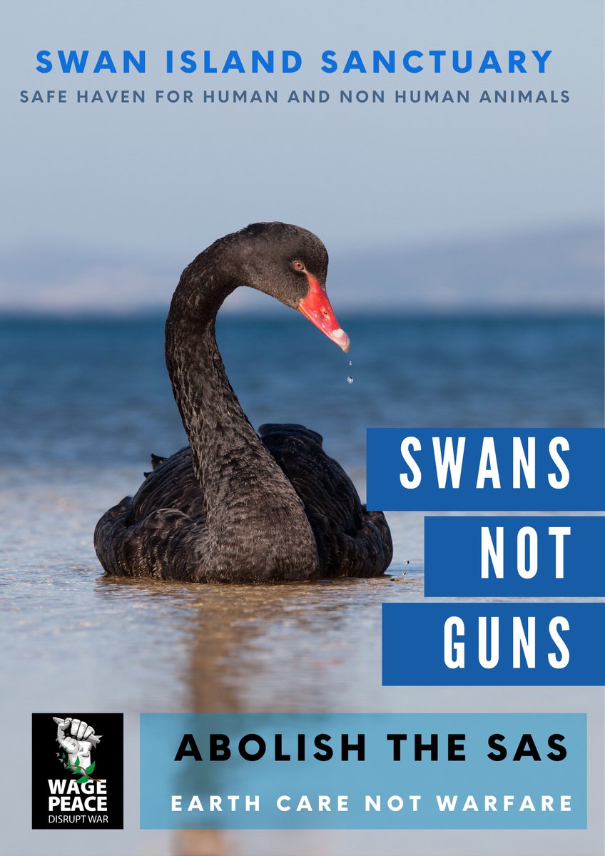 wagepeaceau's tweet photo. Swan Island should be a safe haven for human and non human animals. #Abolish the #ToxicSAS. The SAS are training Kopassis killers in Indonesia. And Kopassis with D88 and TNI are harming West Papuans. West Papua #SwansNotGuns #EarthCareNotWarfare https://t.co/GwnJe92Yki