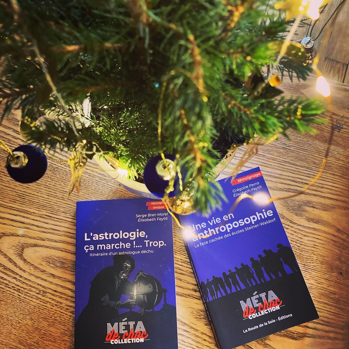 ChocMeta's tweet image. Pour vous assurer une livraison dans les temps,  commandez maintenant !

#Livres disponibles partout et chez votre #libraire indépendant : metadechoc.fr/livres/

#podcast #astrologie #astronomie #anthroposophie #steiner #SteinerSchool #déconversion @GregoirePerra @Astroscept