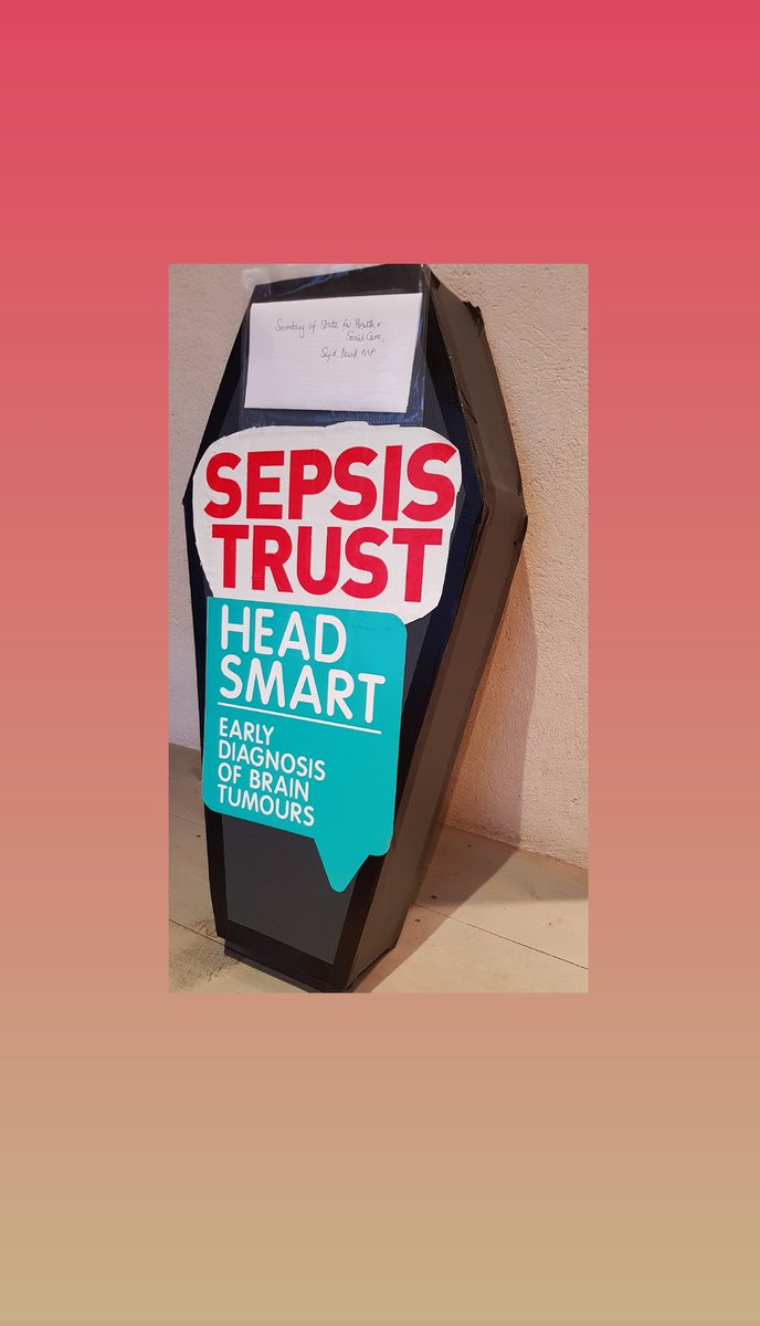 SachaLG's tweet photo. Delivering this child coffin with letter attached @sajidjavid @DHSCgovuk calling for public awareness of the biggest killer diseases of children: #braintumour #sepsis & prevent 25 deaths monthly #ruleitout @HeadSmartUK @UKSepsisTrust @SepsisUK @wesstreeting @LabourHealth https://t.co/P1uSmpBRFt