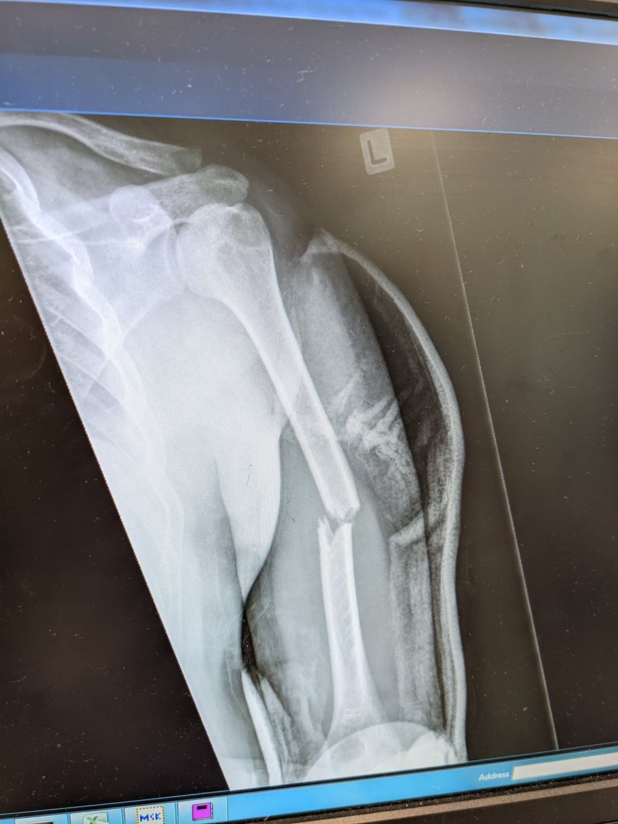 Thom Toogood tweet media