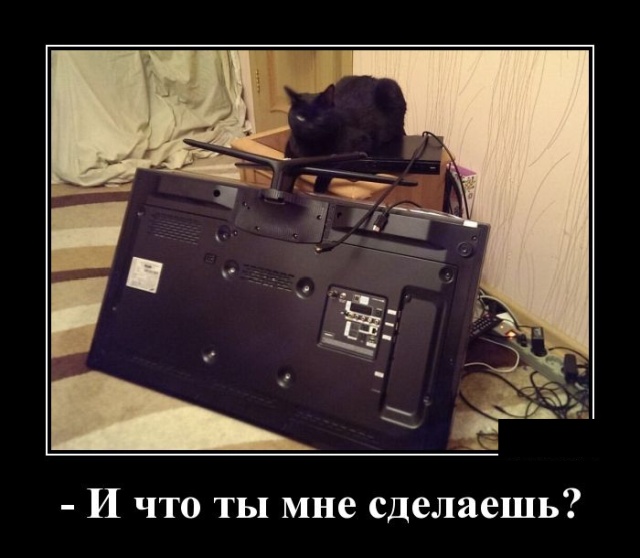 Be1_ru's tweet photo. https://t.co/ND6EnCCi0f