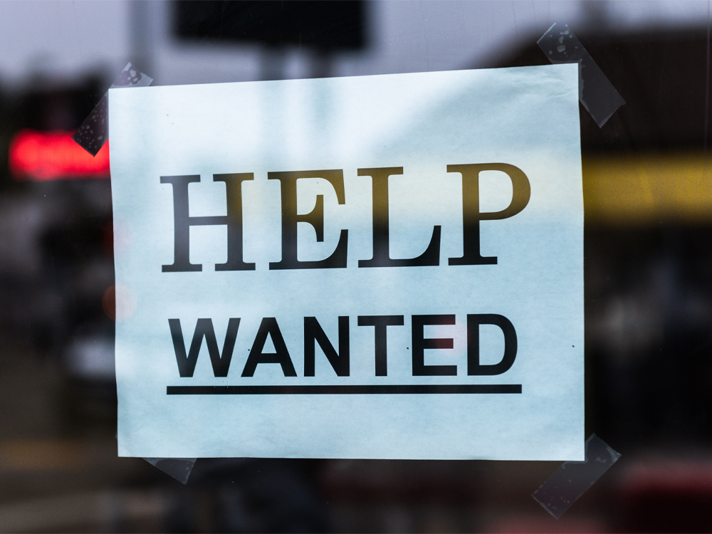 QuickenTrust's tweet photo. HELP WANTED

With the kids back at school, do you have a few hours spare to volunteer at the Quicken Trust office in Hailsham?

If you have IT skills, administration or social media skills we would love to hear from you.

Email us at: contactus@quickentrust.com https://t.co/H4HSWEN04V