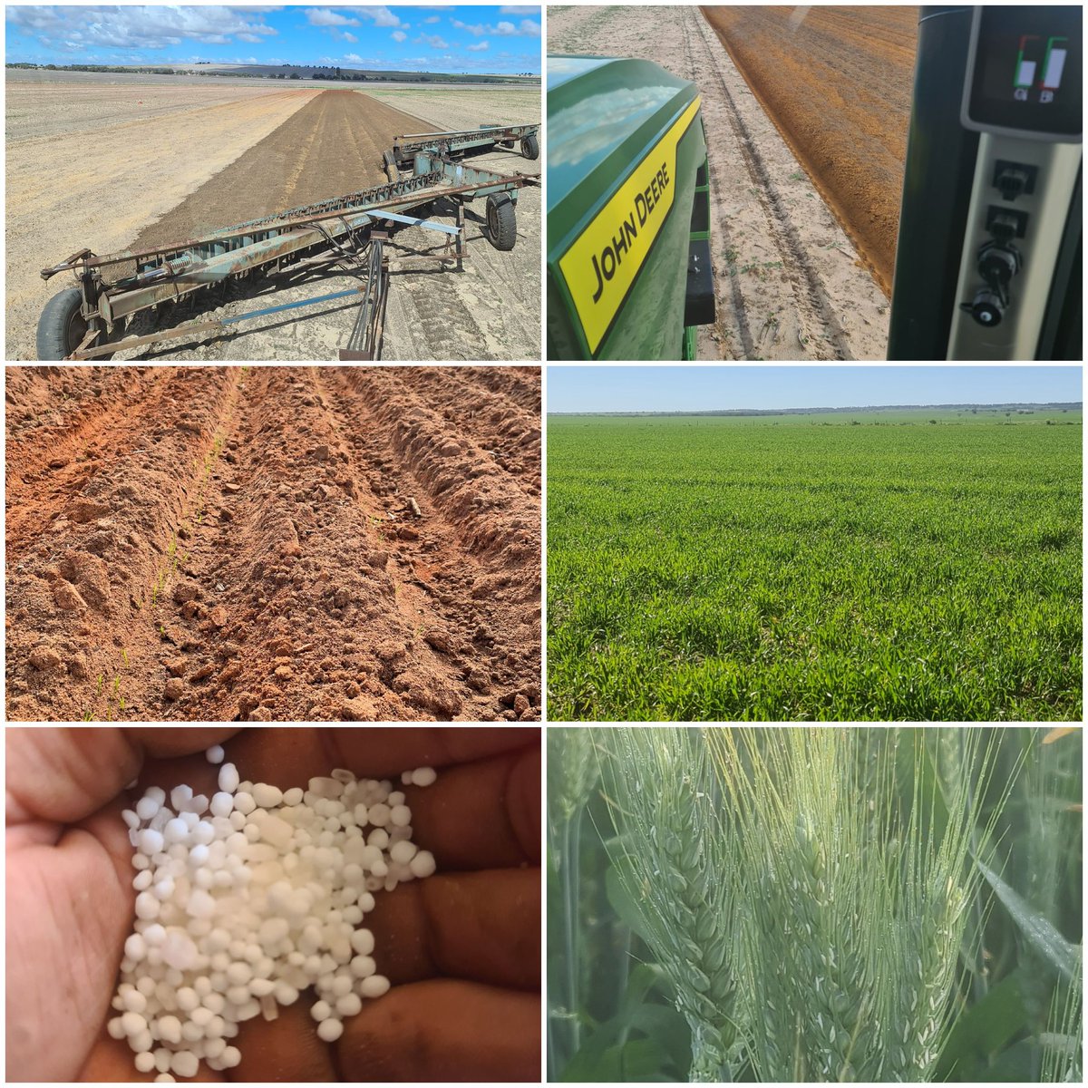 Geoff Cosgrove 🎗🇦🇺 tweet media