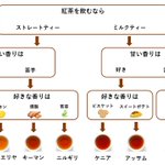 お気に入りの紅茶が見るかるかも？ほぼ香りで選ぶ紅茶のフローチャート!