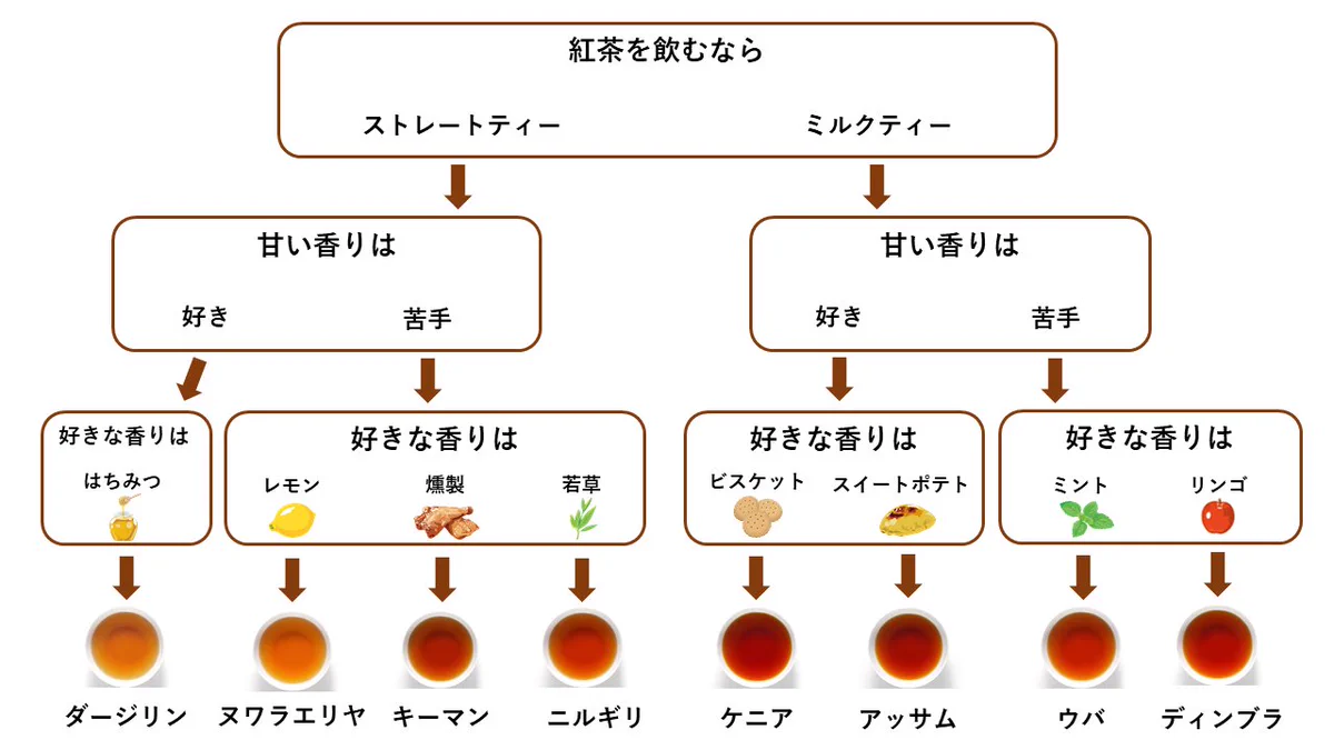 お気に入りの紅茶が見るかるかも？ほぼ香りで選ぶ紅茶のフローチャート！