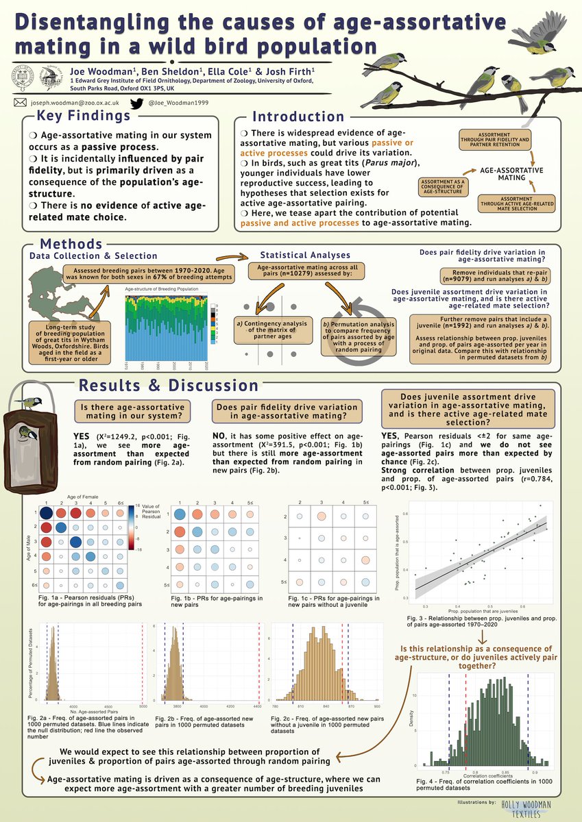 Wytham Tit Study tweet media