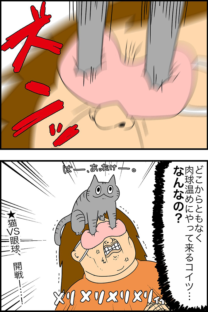 飼い主「解せぬ…!」 目元を温めていると、愛猫が? https://t.co/amHyyf2pur @grapeejpより 