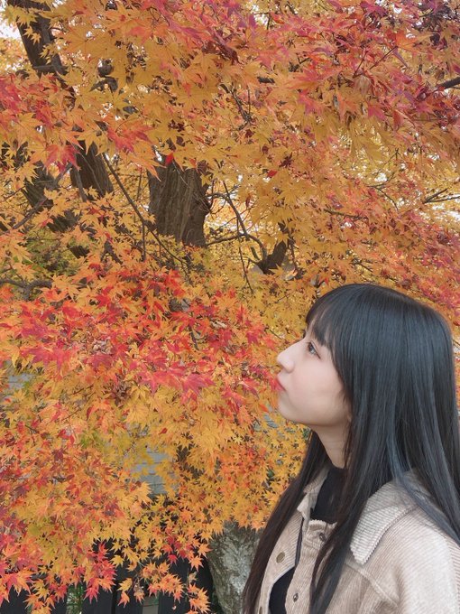 Twitterのコスプレ画像6