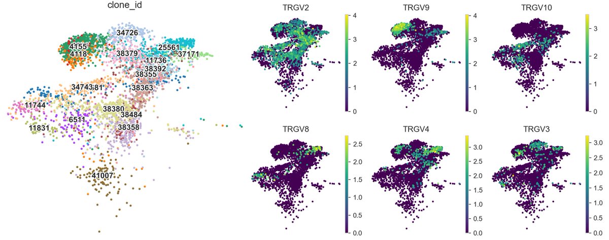 Kane Foster tweet media