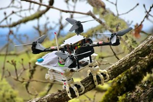 metisautomation's tweet image. Researchers in the US have designed a biomimetic clawed robot that can grasp objects and land and perch on branches, allowing them to get close to birds in their natural habitat for new methods of research #biometricrobots buff.ly/3IOL1DH