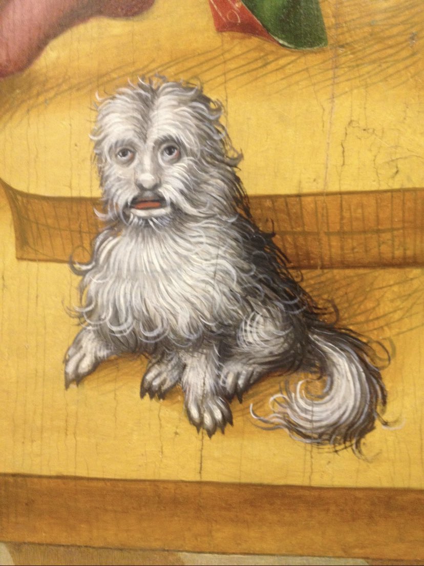 I have COVID again. 

Current mood: medieval dog painting