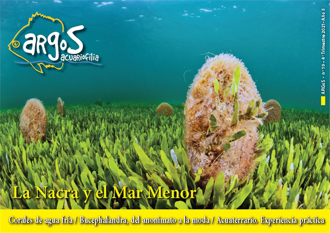 AquaticNotes's tweet image. ¡Ya está disponible el número 19 de la revista ARgoS! 
Reproducción de Nacra, corales de agua fría, Bucephalandra, Acuaterrario y muchos temas más. ¡Que lo disfrutéis!
aquaticnotes.com/2016/es/2021/1…